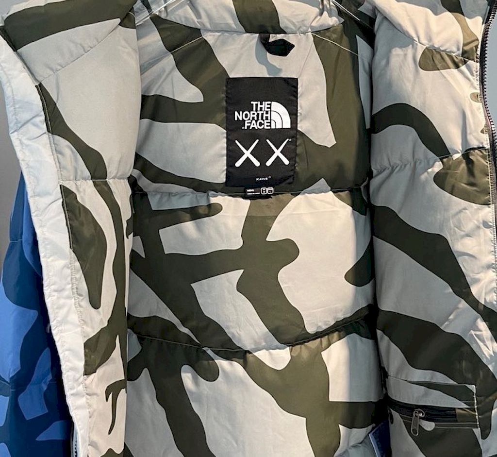 KAWS X The North Face Retro 1996 Nuptse 700 Grey