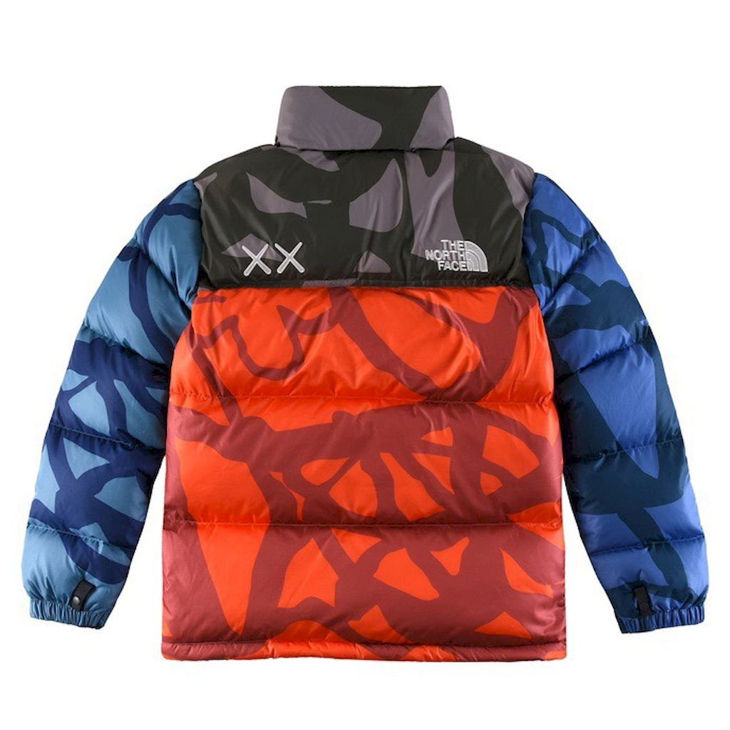 KAWS X The North Face Retro 1996 Nuptse 700 Grey